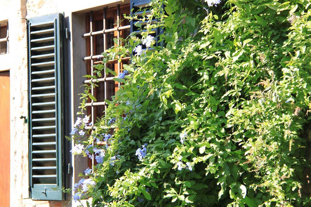 Antica Casa "Le Rondini" Bed & Breakfast Borgo a Buggiano Bagian luar foto