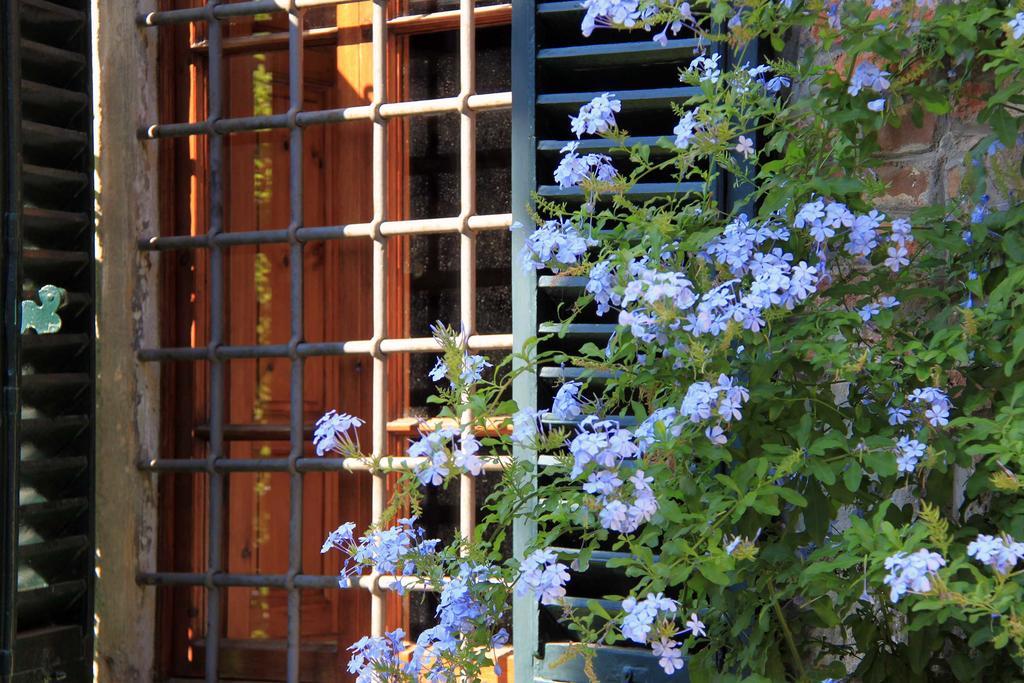 Antica Casa "Le Rondini" Bed & Breakfast Borgo a Buggiano Bagian luar foto
