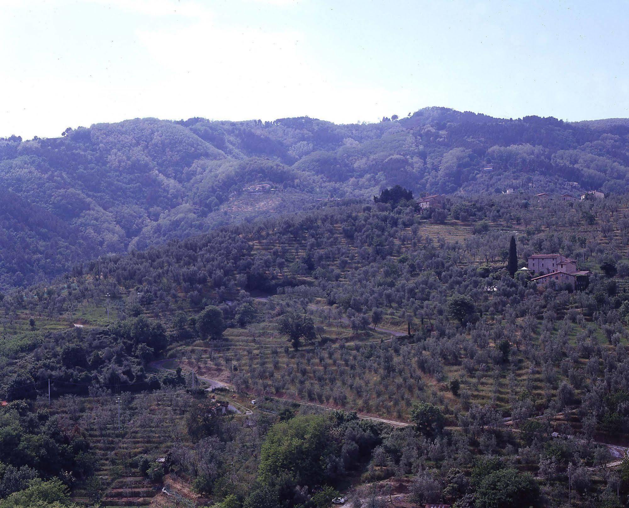 Antica Casa "Le Rondini" Bed & Breakfast Borgo a Buggiano Bagian luar foto